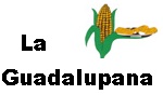 la guadalupana